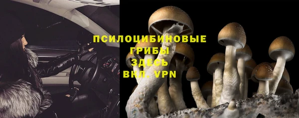 тгк Алзамай