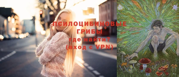 тгк Алзамай