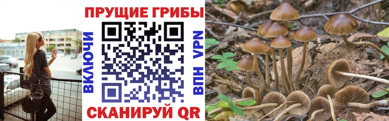Галлюциногенные грибы Magic Shrooms  Купить закладки  Сусуман 